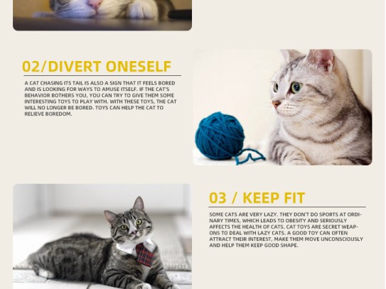 ** The Ultimate Guide to Choosing the Perfect Stuffed Cat and Kittens for Your Collection