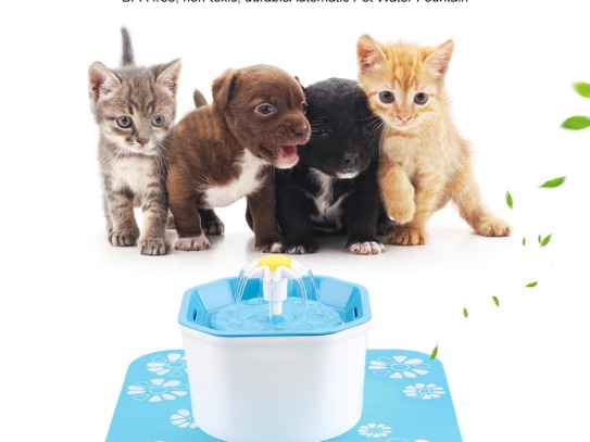  Pixi Cat Drinking Fountain: A Luxurious Hydration Solution for Your Feline Friend